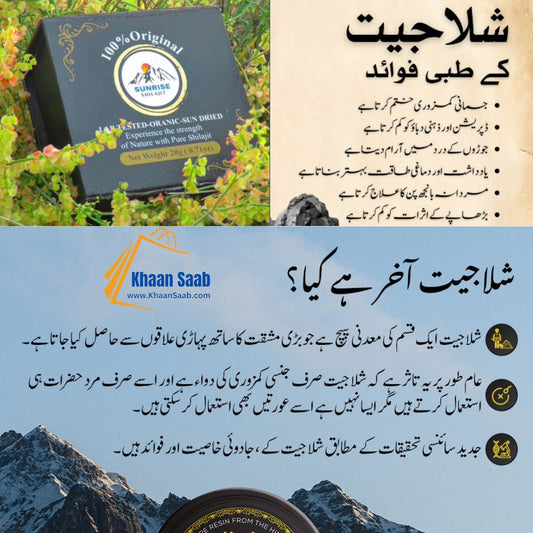 Shilajit 100% Original 30g