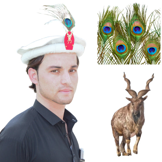 Chitrali Cap with Markhor and Feather | Wool Cap | Premium Quality Chitrali Cap