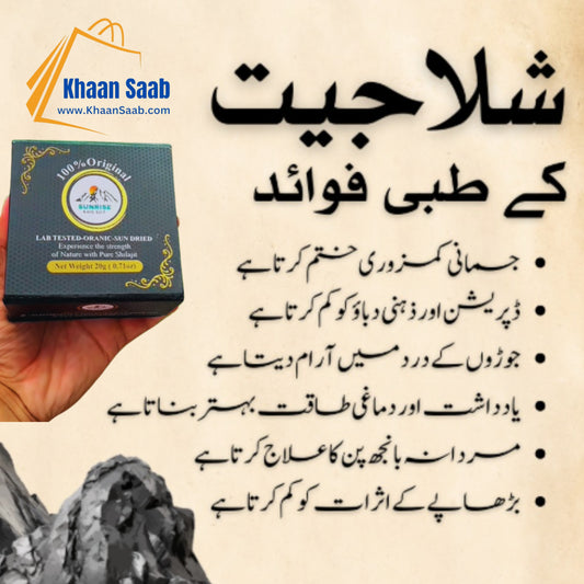 Shilajit 100% Original 20g