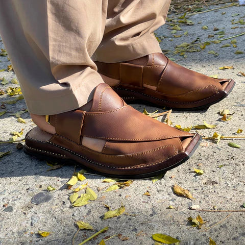 Zalmi Dark Brown Chappal