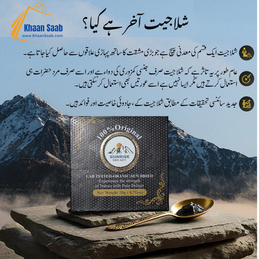Shilajit 100% Original 20g